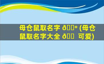 母仓鼠取名字 🐺 (母仓鼠取名字大全 🐠 可爱)